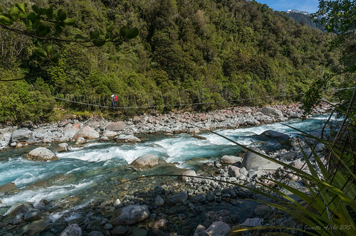 bridge trees newzealand rocks footbridge hiking arthurspass hike nz hikers day3 tramping tramp trampers arthurspassnationalpark 2015 taiporiver sonynex6
