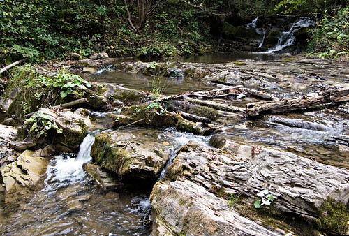 green nature water grass river waterfall stones poland polska natura bieszczady zielony woda trawa rzeka kamienie wodospad bieszczadymountainrange dołżyczka