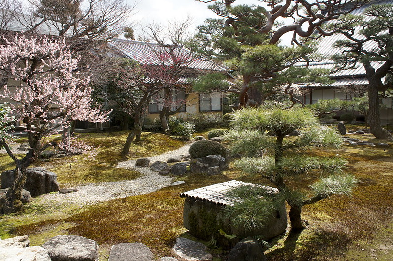 光琳曲水の庭／妙顕寺(Myoken-ji Temple)