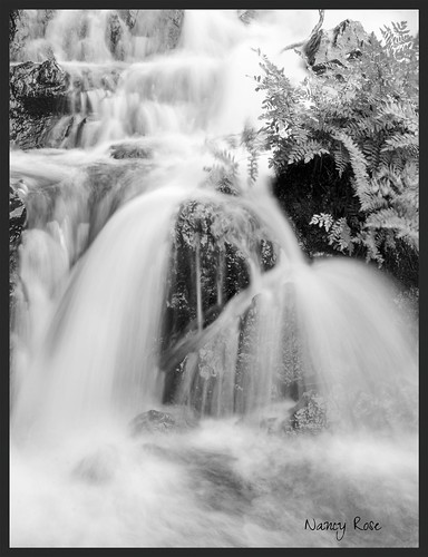bw fern newfoundland waterfall flowing rattlingbrook pano17