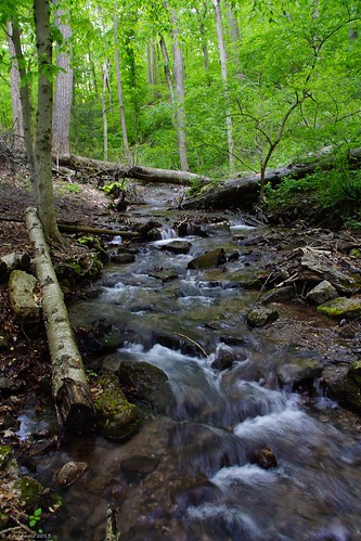 forest stream pa berkscounty a77 sonyalpha noldestateforest