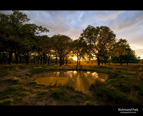 road park greatbritain trees sunset england sky london wet water grass clouds landscape photography eos photo pond europe shot britain royal richmond single 5d cityoflondon intersting mkii esslinger esslingerphotocom esslingerphoto