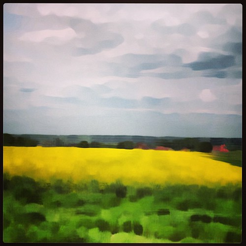 blue sky green yellow square landscape lofi squareformat fields iphoneography instagramapp uploaded:by=instagram foursquare:venue=4bb4798e737d76b0d0663b7c