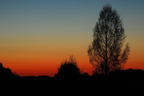 sunset tree silhouette may clear redsky träd blueskye maj trosa västerljung