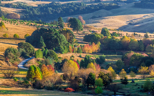 africa autumn trees windmill grass natal sunrise canon south hills telephoto fields sa midlands
