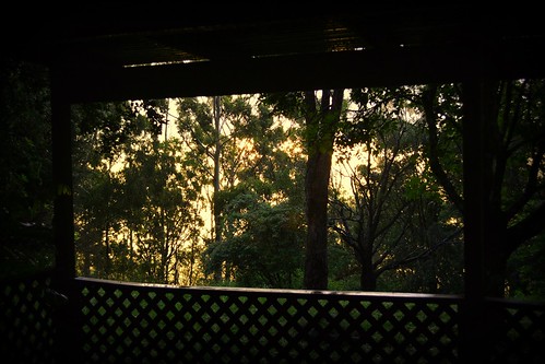 sunset tamborinemountain sequeensland queensland australia sunsetthroughtrees marcia weather mounttamborine
