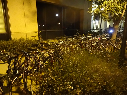 Cyklar på Stanford