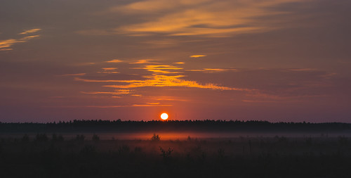 morning mist sunrise 50mm flickr sweden schweden sverige sonnenaufgang morgen dunst nikkor50f18 brattforsheden värmlandslän