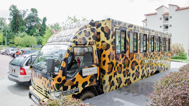 Leopard skin tram to bring visitors to the Bukit Gambang Resort City's Safari Park