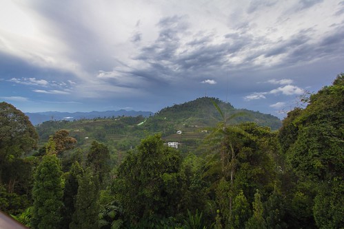 landscapes rainforest malaysia ultrawide pahang colmartropicale efs1022mmf3545usm canonphotography bukittinggiresort scenicsnotjustlandscapes eos60d