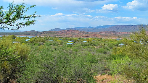 county camping camp arizona lake history forest fishing hiking hill az hike roosevelt historic national historical campground tonto gila cholla tontonationalforest rooseveltlake gilacounty azhike alhikesaz chollacampground