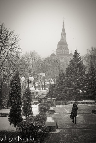 Snowstorm and Pokrovsky park. Kharkov. Ukraine