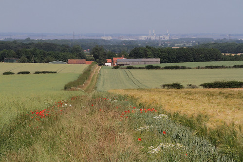 uk england industry canon landscape farm farming lincolnshire crops