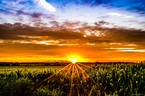 sunset summer sky sun sunlight field clouds countryside scenic colourful nottinghamshire starburst sunray nikon1855mmlens nikond5100