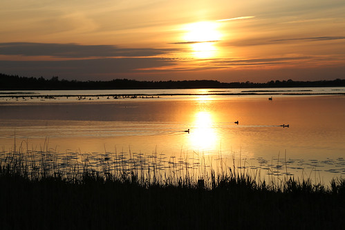 sunset skåne sweden krankesjön