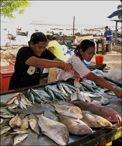 Rawai Beach Seafood Market