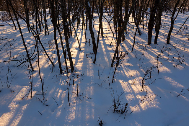 Shadows and Snow