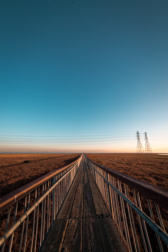 morning bridge landscape wooden horizon powerlines walkway paloalto sanfranciscobay marsh pylons baylands