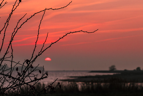 sunset sea beach water strand wasser sonnenuntergang baltic wald ostsee steilküste küste werder boiensdorfer