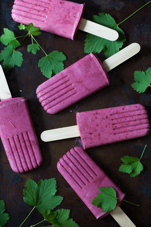Homemade Popsicle Recipes