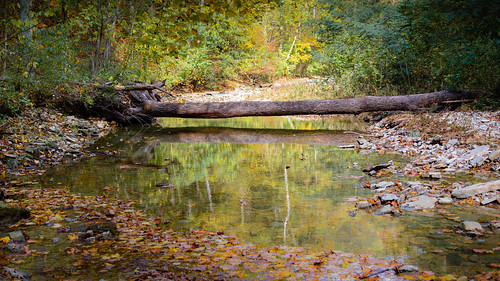 autumn canon stream indiana madison cliftyfalls 6d