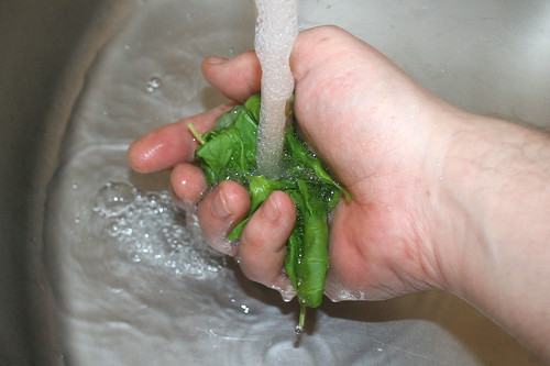 35 - Basilikum waschen / Wash basil