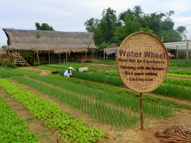Activities at Tra Que Herb Village, near Hoi An visiting Water Wheel 