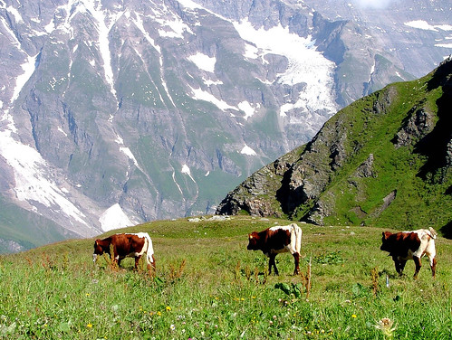 morning travel summer mountain green nature weather rock landscape cow nationalpark spring outdoor walk meadow sunny pasture naturereserve destination mothernatureatherbest ligaeglite