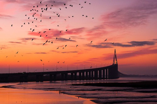 bridge sunset river ngc pont loire mouette saintnazaire estuaire loireatlantique saintbrévin pontsaintnazaire saintbrevinlespins brivet