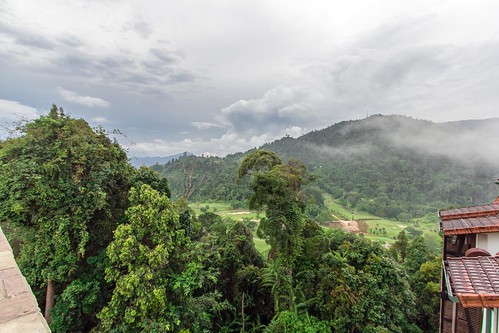malaysia pahang colmartropicale canonphotography bukittinggiresort eos60d