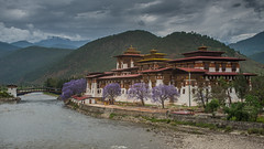 Punakha Dzong (eXplored!)