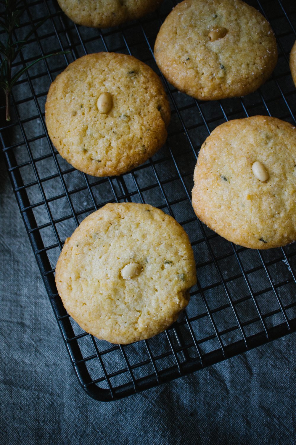 Pine Nut and Rosemary Cookies | Simple Provisions