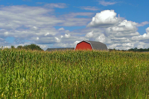 field clouds barn rural corn michigan farm country farming ag agriculture raytownship cumulousclouds