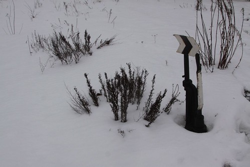 Point indicator and throw lever in the snow