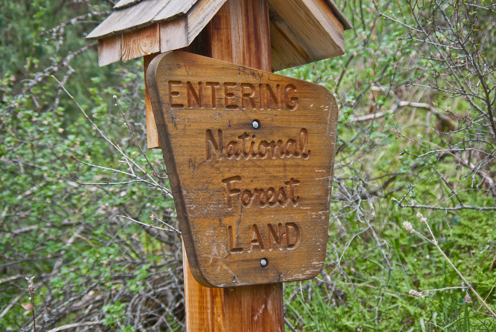 Entering National Forest Land