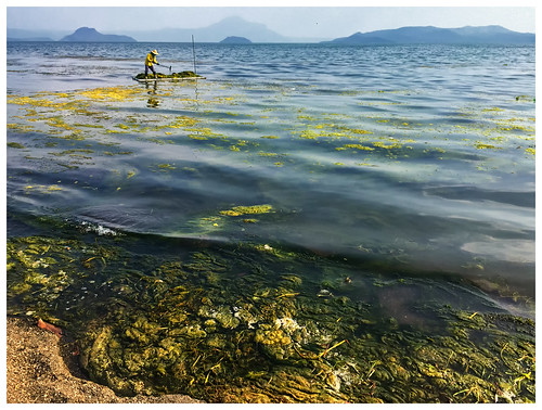 travel lake water landscape volcano garbage weed philippines cleaning rubbish tagaytay taal iphone barangas