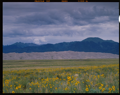 film clouds landscape colorado 4x5 wildflower fujivelvia iqsmart2