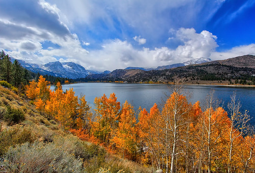 california ca travel autumn usa lake color tree fall nature water northerncalifornia yellow photoshop canon landscape photo interestingness google interesting october day photographer angle cloudy wide picture clarity sierra explore adobe getty norcal aspen 1022 junelake adjust easternsierras infocus highway395 junelakeloop cs6 2013 denoise 60d topazlabs photographersnaturecom davetoussaint
