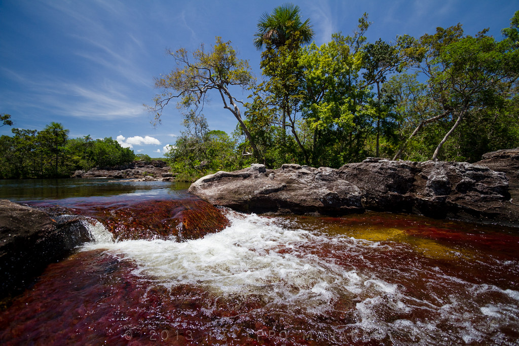 Life and Nature in Caño Cristales - 6