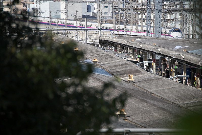 Tokyo Train Story 東北新幹線 2015年2月6日