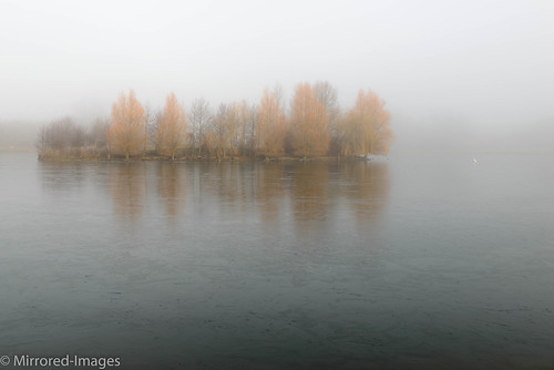 trees winter mist lake colour bird ice reflections landscape swan northyorkshire kiplinhall