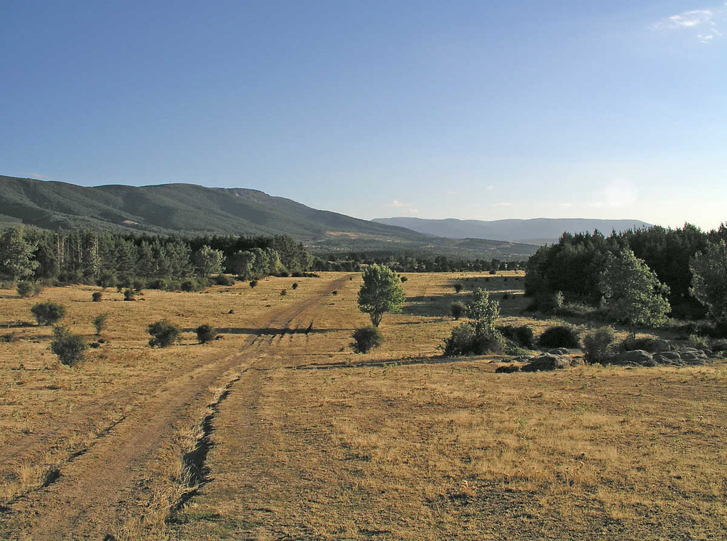Aspecto de una Cañada Real para paso de ganado. Autor,