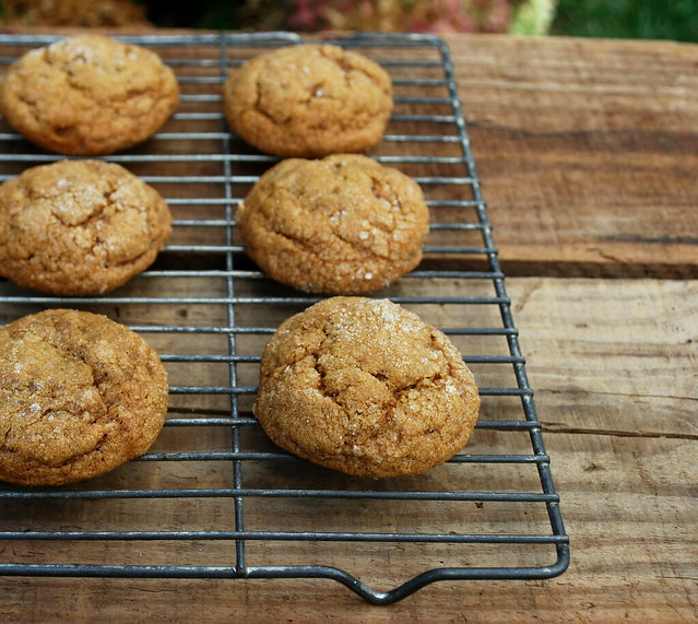 Pumpkin Gingersnaps