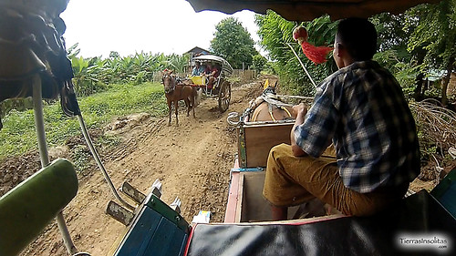 Carro caballos en Inwa (Myanmar)