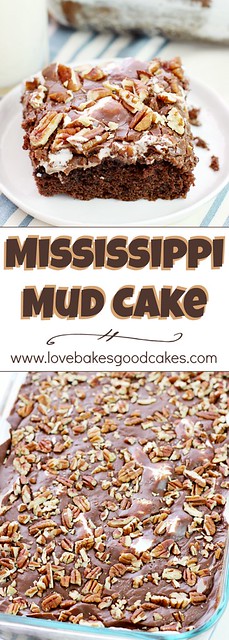 Mississippi Mud Cake collage.