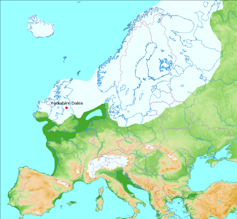 Europe during its last glaciation, about 20,000 to 70,000 years ago