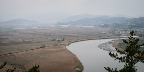 korea suncheonbayecologicalpark