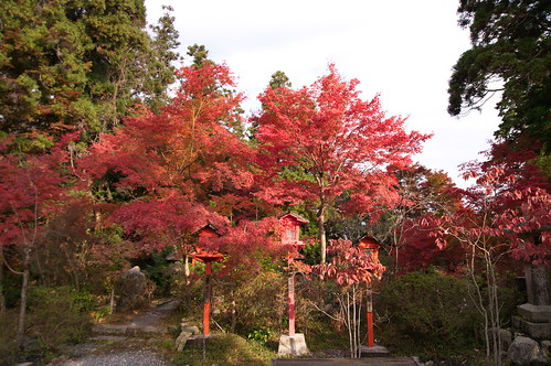 【写真】2012 紅葉 : 鍬山神社/2021-12-10/IMGP5854