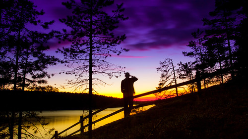 trees sunset red orange sun lake suomi finland person woods berries purple watching järvi aurinko