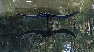 Ein Drache, eine Feuerschlange als geflgelte Ungeheuer aus der vorderen Zeit im Saurierpark Kleinwelka 0109